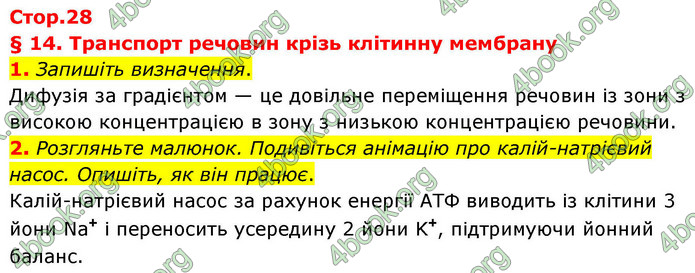 ГДЗ Зошит біологія 9 клас Тагліна НУШ