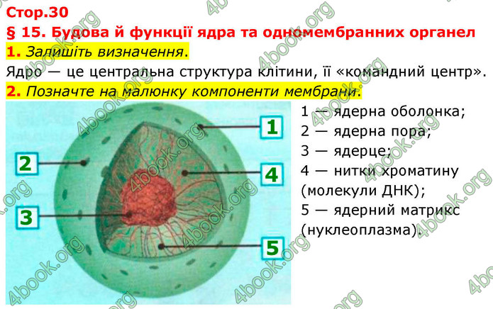 ГДЗ Зошит біологія 9 клас Тагліна НУШ