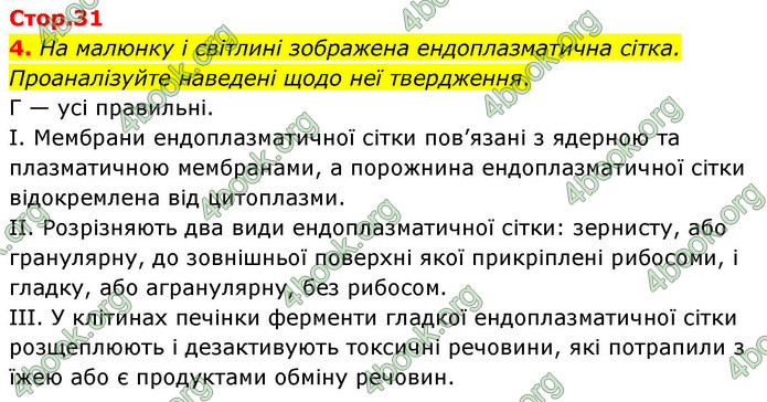 ГДЗ Зошит біологія 9 клас Тагліна НУШ