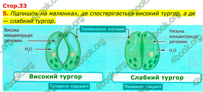 ГДЗ Зошит біологія 9 клас Тагліна НУШ