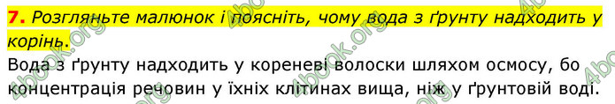 ГДЗ Зошит біологія 9 клас Тагліна НУШ